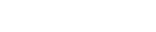 VechFlow